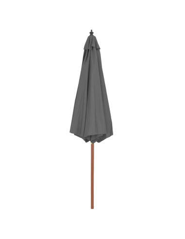 Ombrellone da Esterni con Palo in Legno 300 cm Antracite