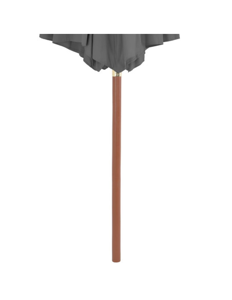 Ombrellone da Esterni con Palo in Legno 300 cm Antracite