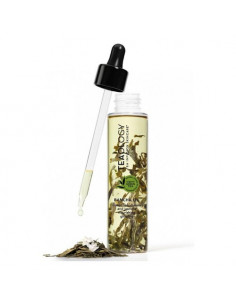 Bancha Oil 100 Ml Teaology