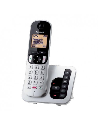 CORDLESS PANASONIC C260JTS SILVER SEGR.