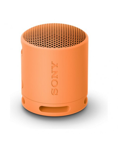 Cassa wireless Sony SRSXB100D CE7 Compact Orange Orange
