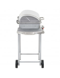 Barbecue a Gas con Griglia 2 Fornelli Argento Acciaio Inox