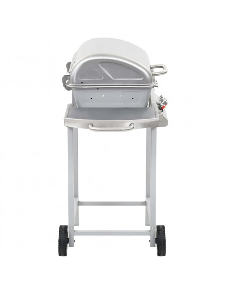 Barbecue a Gas con Griglia 2 Fornelli Argento Acciaio Inox