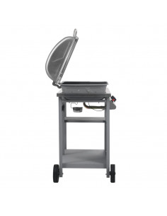 Barbecue e Griglia a Gas con 3 Ripiani e Tavolinetto Argento
