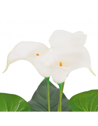 Calla Lily Artificiale con Vaso 85 cm Bianco
