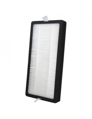 Filtro purificatore Homedics AP DT10FLR Hepa