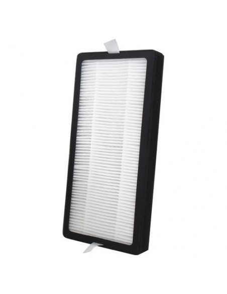 Filtro purificatore Homedics AP DT10FLR Hepa