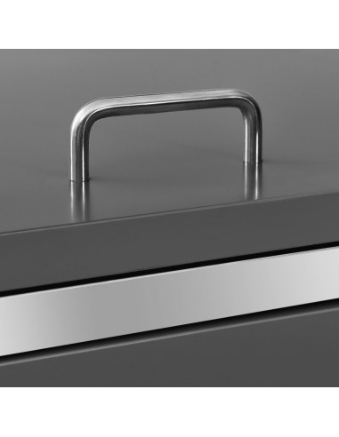 Copri Bidoni Pattume Quadruplo 276,5x77,5x112,5 cm Acciaio Inox