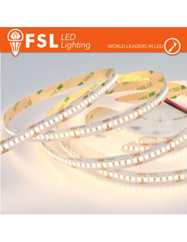LUCE FREDDA - 6500K STRISCIA LED 5M IP20 2835 24V - 20W/M 240LED/M 6500K