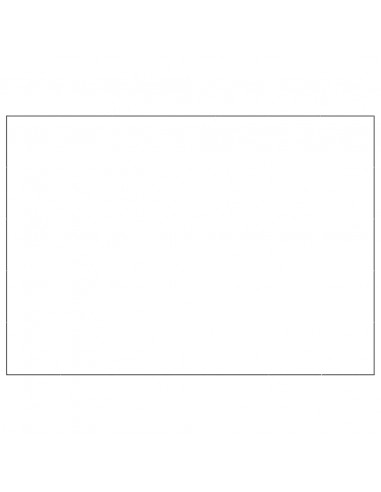 Gabbia per Cani Nera 35 m² in Acciaio