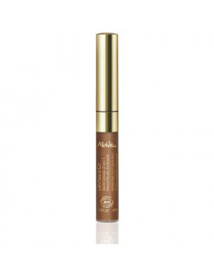 LÃ¨vres D'Or Gloss 2 En 1 Bio 4 ml Melvita