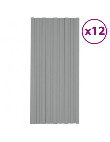 Pannelli da Tetto 12 pz in Acciaio Zincato Grigio 100x45 cm