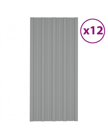 Pannelli da Tetto 12 pz in Acciaio Zincato Grigio 100x45 cm