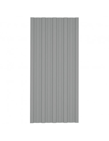 Pannelli da Tetto 12 pz in Acciaio Zincato Grigio 100x45 cm