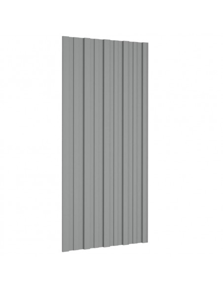 Pannelli da Tetto 12 pz in Acciaio Zincato Grigio 100x45 cm