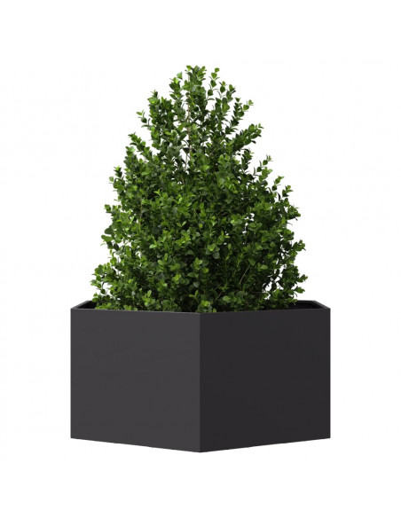 Fioriera da Giardino Nera Esagono 104x90x45 cm in Acciaio