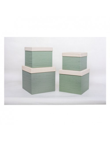 Scatola regalo Amicasa Set 4 Pz Verde Assortito