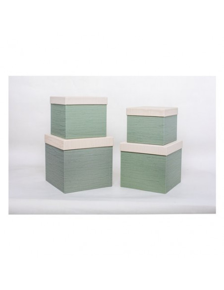 Scatola regalo Amicasa Set 4 Pz Verde Assortito
