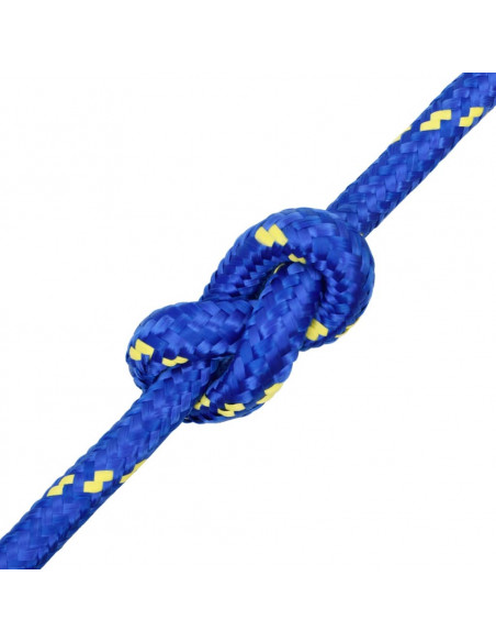 Corda per barca Blu 20 mm 25 m in Polipropilene