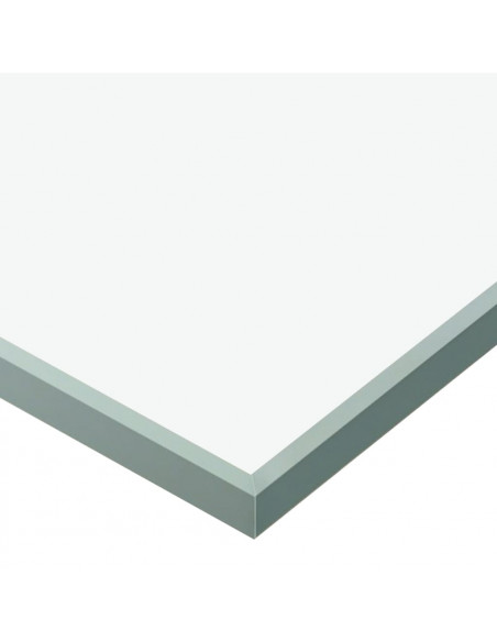 Porta Scorrevole in Vetro ESG e Alluminio 102,5x205 cm Argento