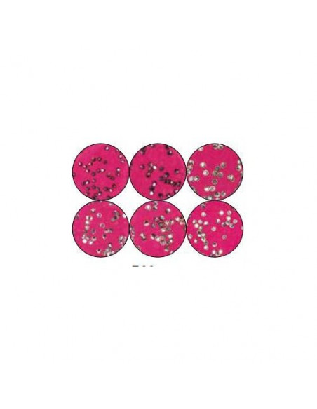Smalto unghie Xanitalia Diamond Stone Set: Crystal, Pink E Purple 6 Pz