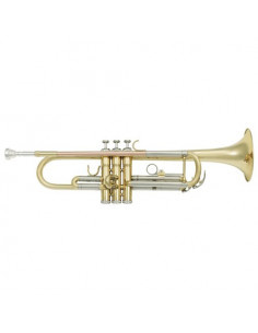 Tromba Sml 14600432 PARIS Vsm Tp300 Gold