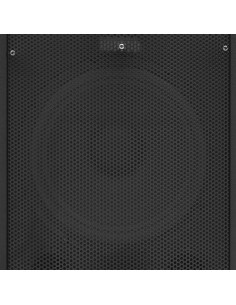 Altoparlante da Palco Hifi Professionale Passivo 1000 W Nero