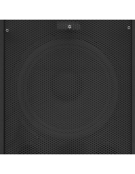 Altoparlante da Palco Hifi Professionale Passivo 1000 W Nero