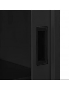 Armadio con Anta Scorrevole e Fioriera Antracite in Acciaio