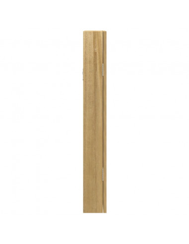 Armadio Portagioie con Specchio a Muro 30x8,5x67 cm