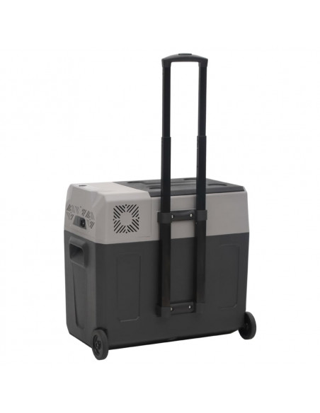 Borsa Frigo con Manico e Ruote Nera e Grigia 40 L Polipropilene