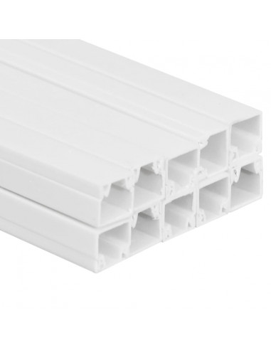 Canalina per Cavi 30x20 mm 10 m in PVC