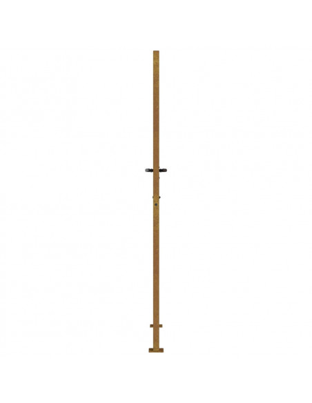 Cancello da Giardino 105x205 cm in Acciaio Corten Design Erba