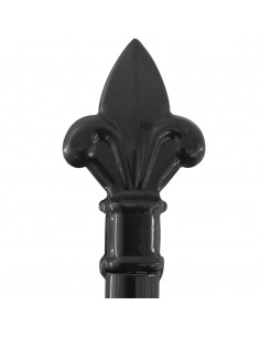 Cancello Doppio con Punte a Lancia 400x248 cm