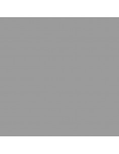 Capanno da Giardino Grigio 277x279x179 cm in Acciaio Zincato