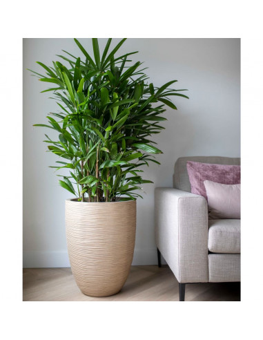 Capi Vaso Elegante Basso Waste Rib 34x46 cm Beige Terrazzo