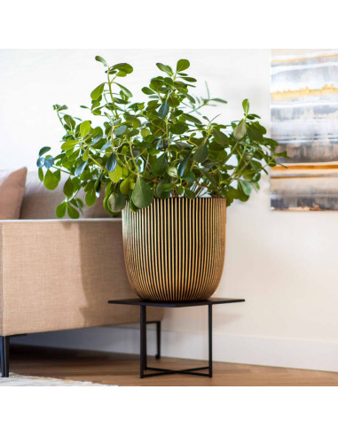 Capi Vaso Groove 43x41 cm Nero e Oro