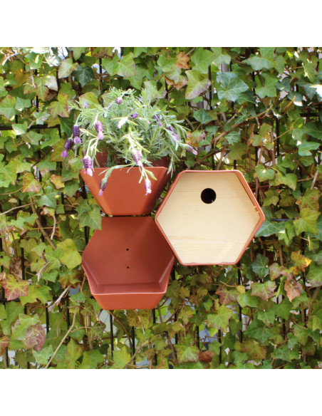 Capi Casetta per Uccelli Hive 1 19x23x20 cm Foro Rotondo Marrone