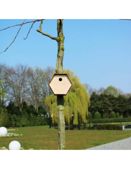 Capi Casetta per Uccelli Hive 1 19x23x20 cm Foro Rotondo Marrone