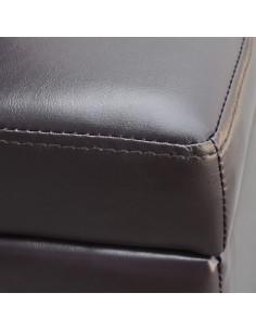 Cassapanca Lunga in Legno Marrone