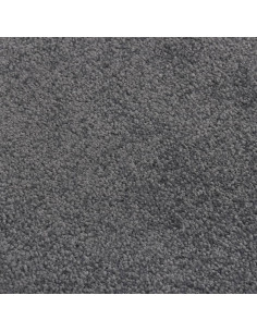 Zerbino Antracite 40x60 cm