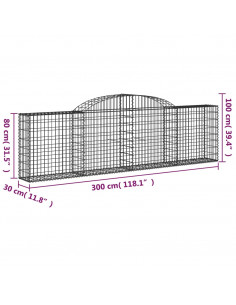 Cesti Gabbioni ad Arco 10 pz 300x30x80/100 cm Ferro Zincato