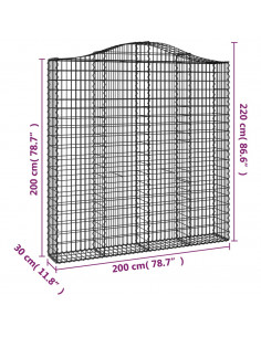 Cesti Gabbioni ad Arco 2 pz 200x30x200/220 cm Ferro Zincato
