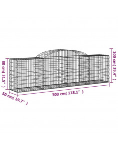 Cesti Gabbioni ad Arco 2 pz 300x50x80/100 cm Ferro Zincato