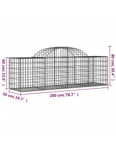 Cesti Gabbioni ad Arco 20 pz 200x50x60/80 cm Ferro Zincato