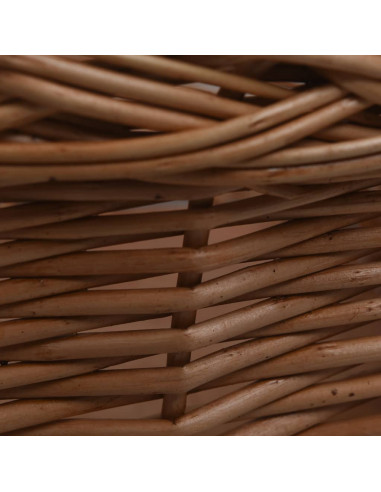 Cestino Anteriore Bici con Copertura 50x45x35cm Salice Naturale