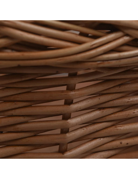Cestino Anteriore Bici con Copertura 50x45x35cm Salice Naturale