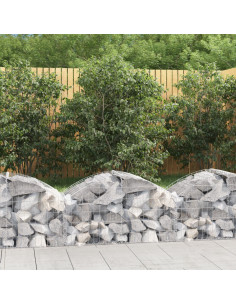 Cesto Gabbione ad Arco 100x50x40/60 cm Ferro Zincato