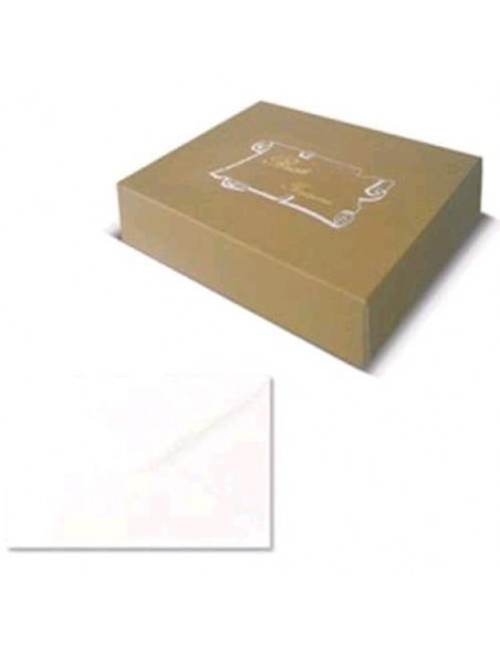 CF100 BUSTE BRISTOL 7X11CM BIANC