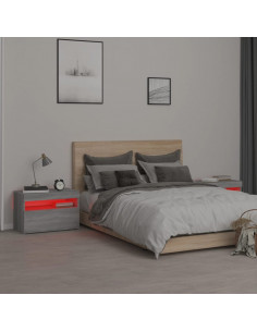 Comodini 2 pz con Luci LED Grigio Sonoma 60x35x40 cm